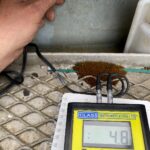 marine surveyor british columbia gallery image